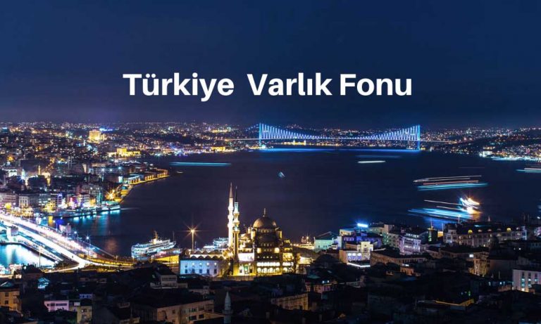 turkiye varlik fonu nedir bilgiler 768x461